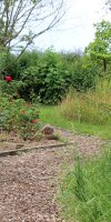 Excursion Imkerei Selzer, 