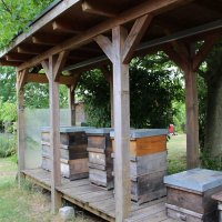 Exkursion Imkerei Selzer, 11.07.2015