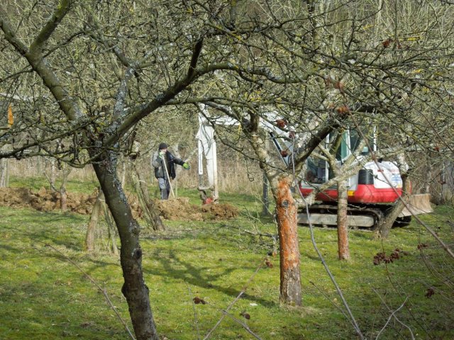 Imker unter Strom