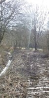Imker unter Strom