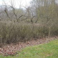 Frühjahrsputz - Nachher
